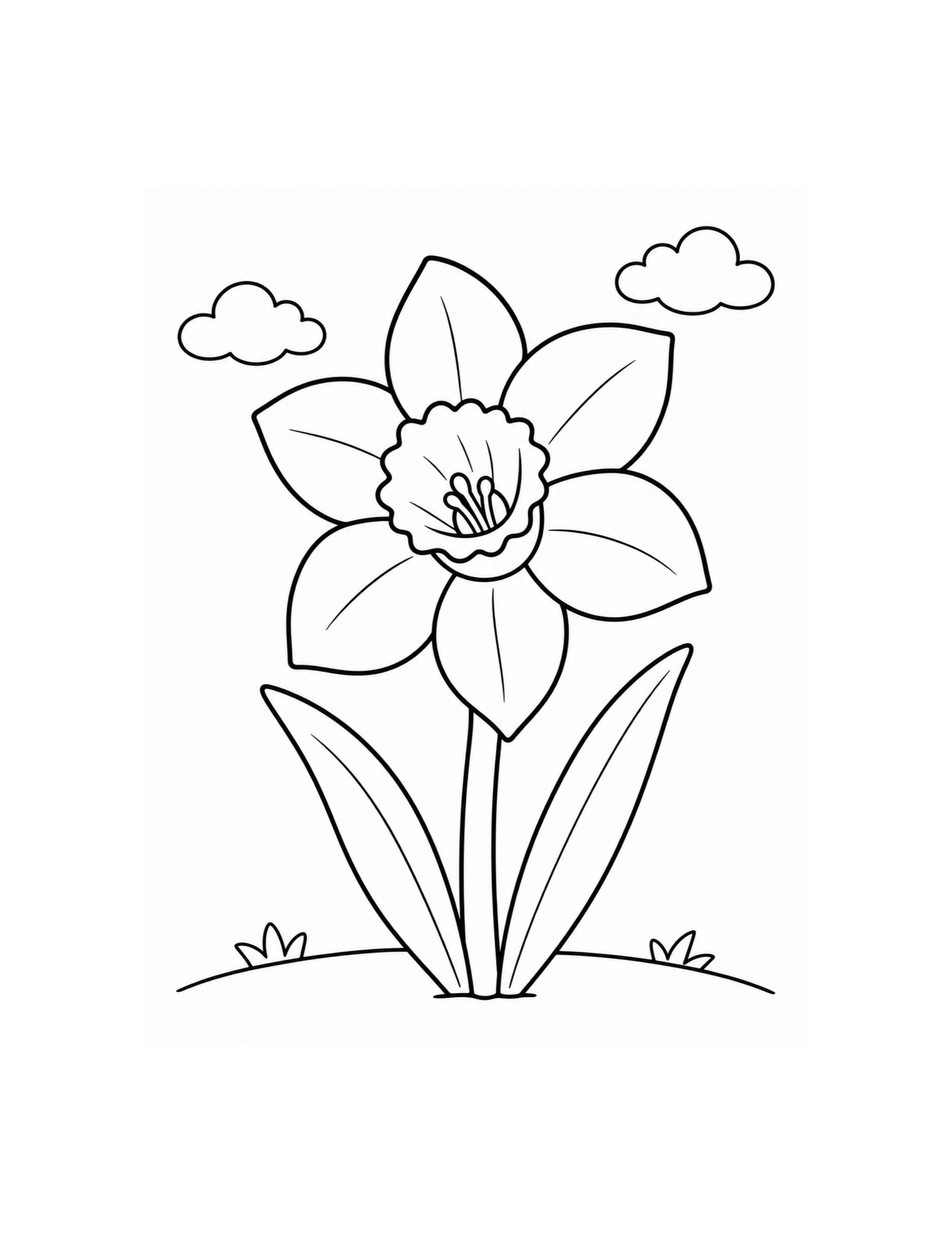 Daffodil Flower Coloring Page