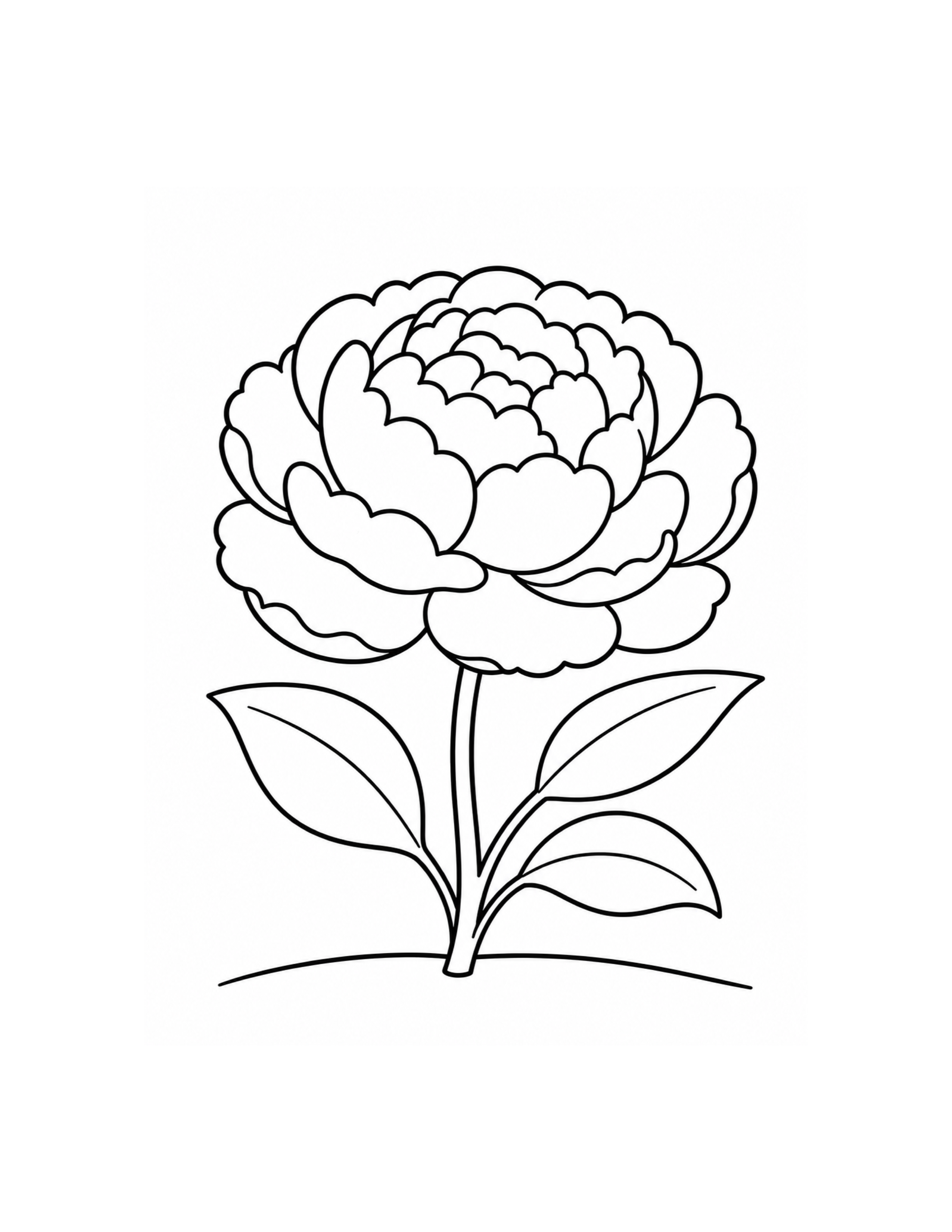 Peony Flower Coloring Page
