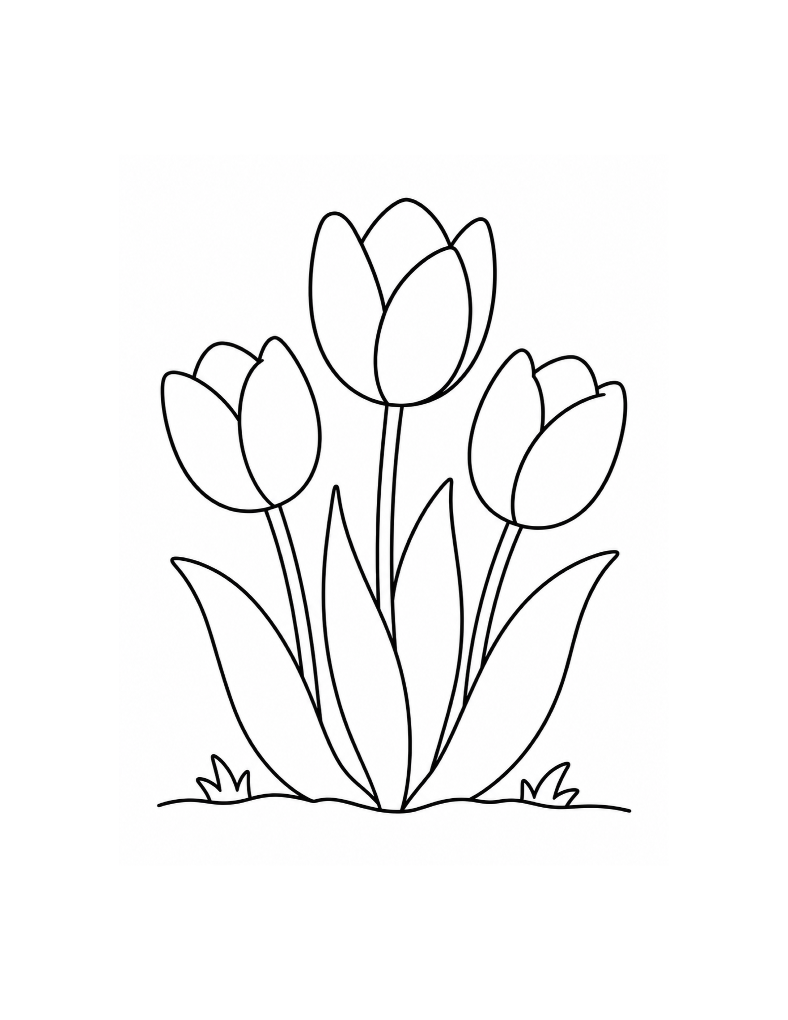 Tulip Flowers Coloring Page